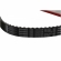 Correia Dentada Gates 76131X22XS Ford Ranger - Cód.4602