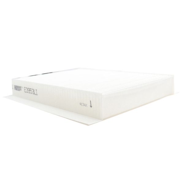 Filtro Cabine Hengst E3953LI Toro, Renegade 2.0 - Cód.10754